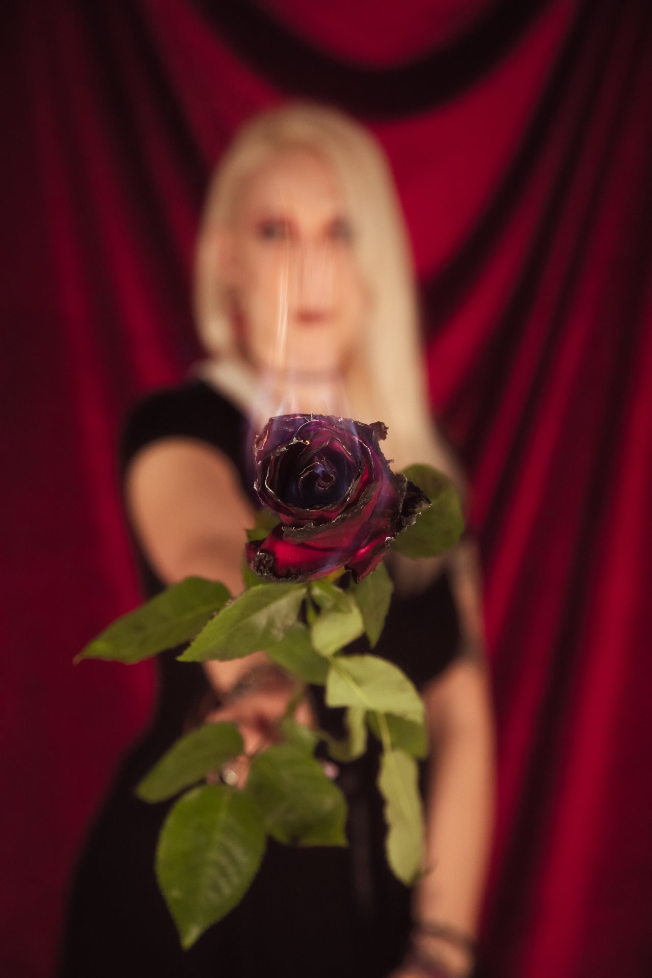 servizio fotografico ritratto rosa rossa fuoco servizio in studio velluto dark Firenze Sesto Fiorentino